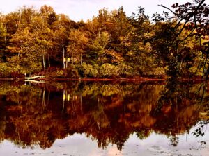 Read more about the article Still Life, Pond in Autumn
