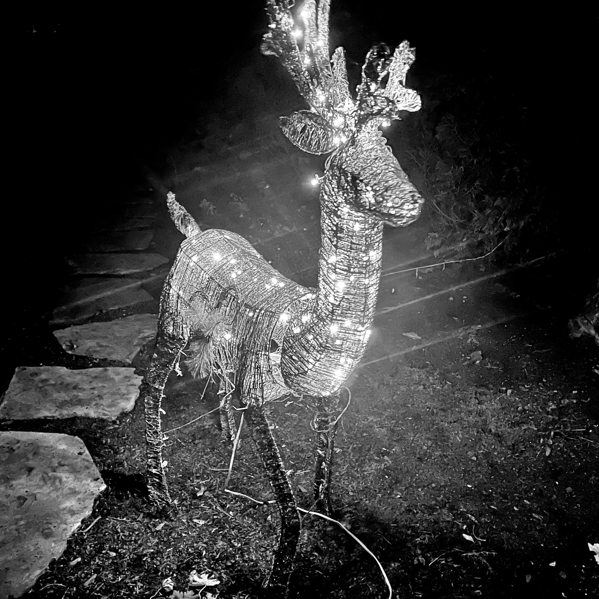 You are currently viewing Commentary: Christmas Lights and Western Civilization: vol. 1