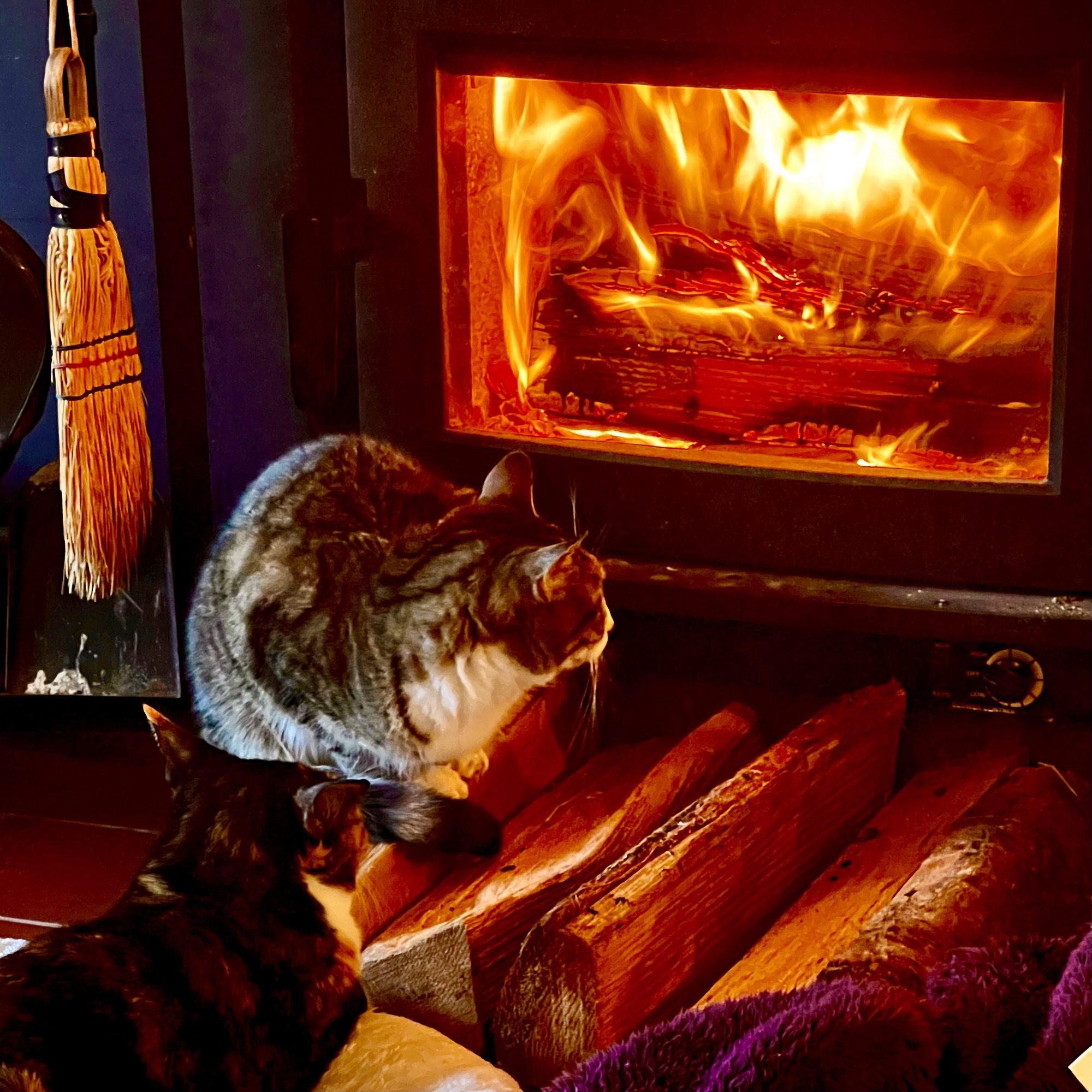 You are currently viewing sweeper