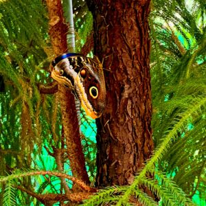 Read more about the article support