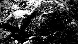 Read more about the article Commentary: Hard vs. Easy