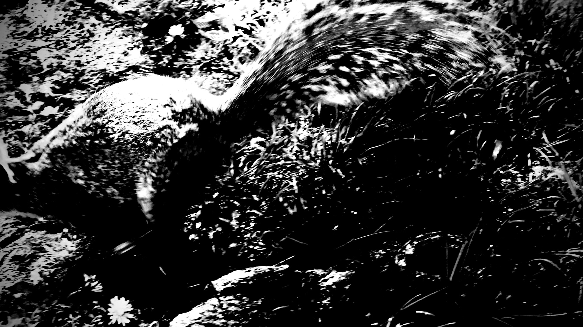 Read more about the article Commentary: Hard vs. Easy