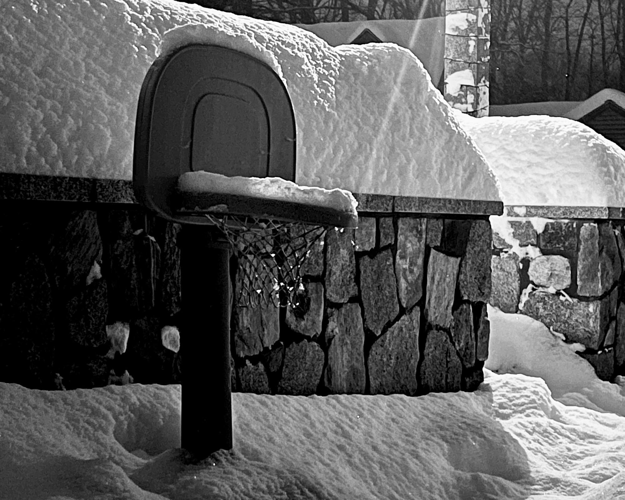 Read more about the article relic