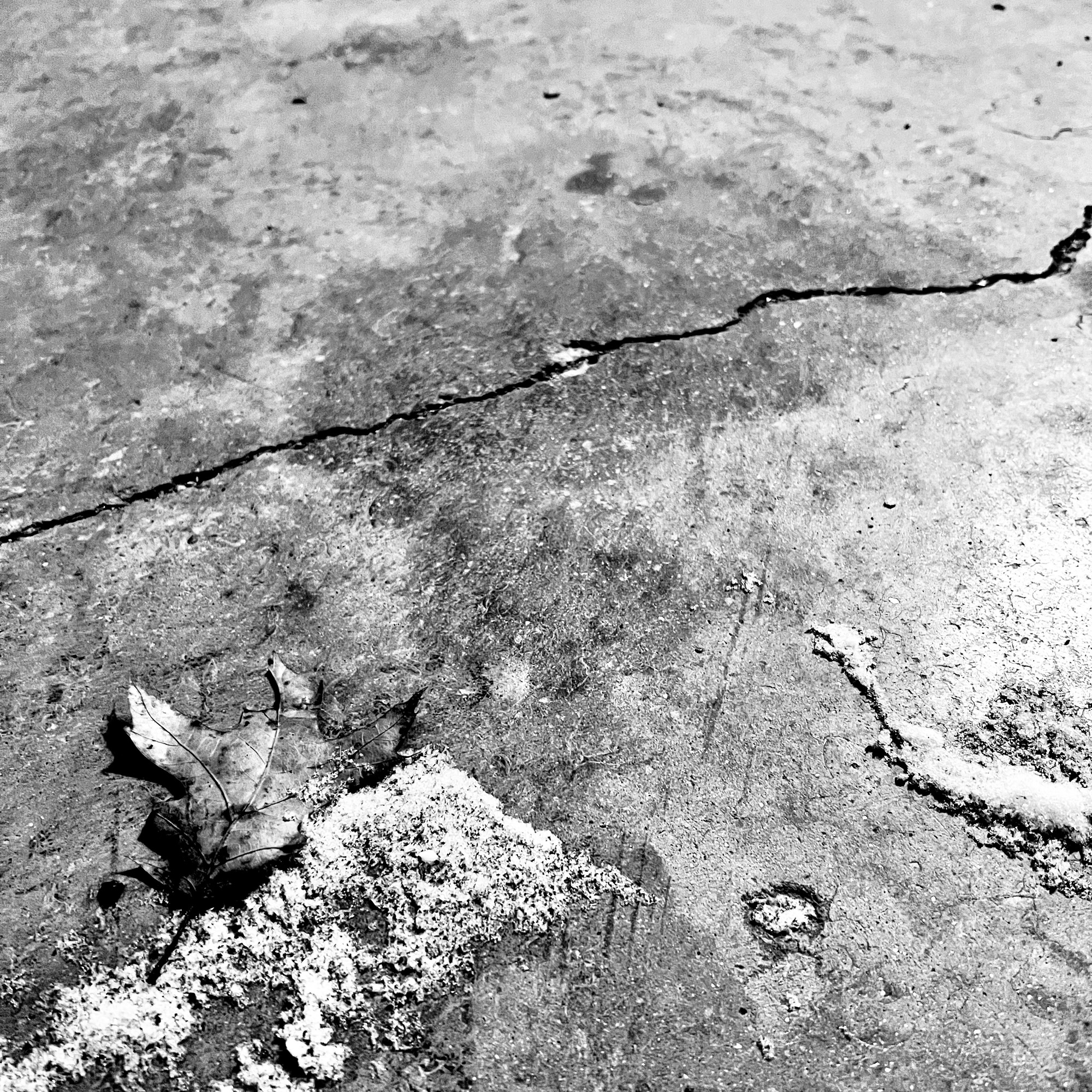 Read more about the article web