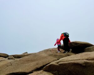 Read more about the article elevator