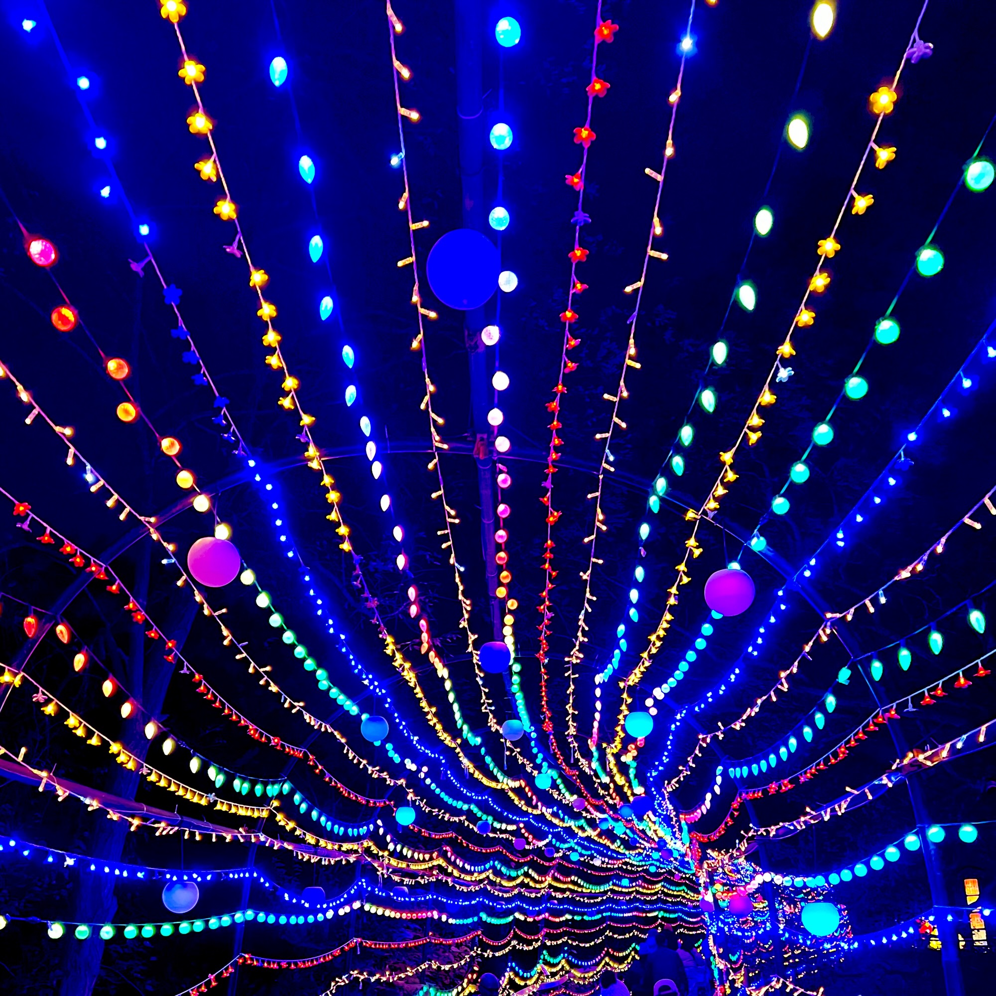 Read more about the article Music: Mainframe