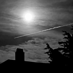 Read more about the article umbra