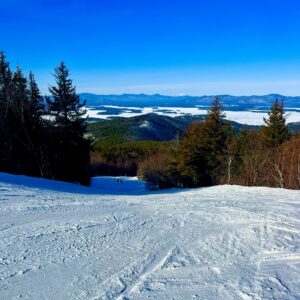 Read more about the article potential