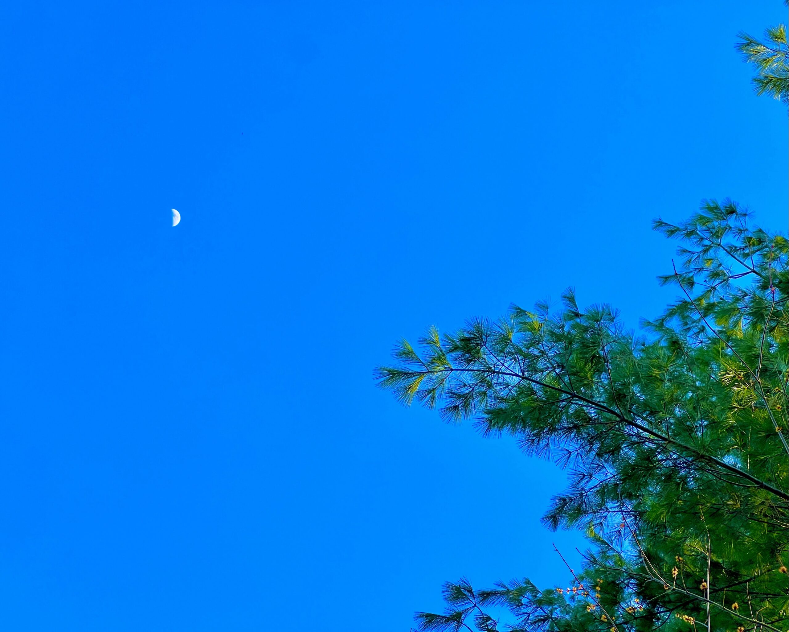 Read more about the article fable