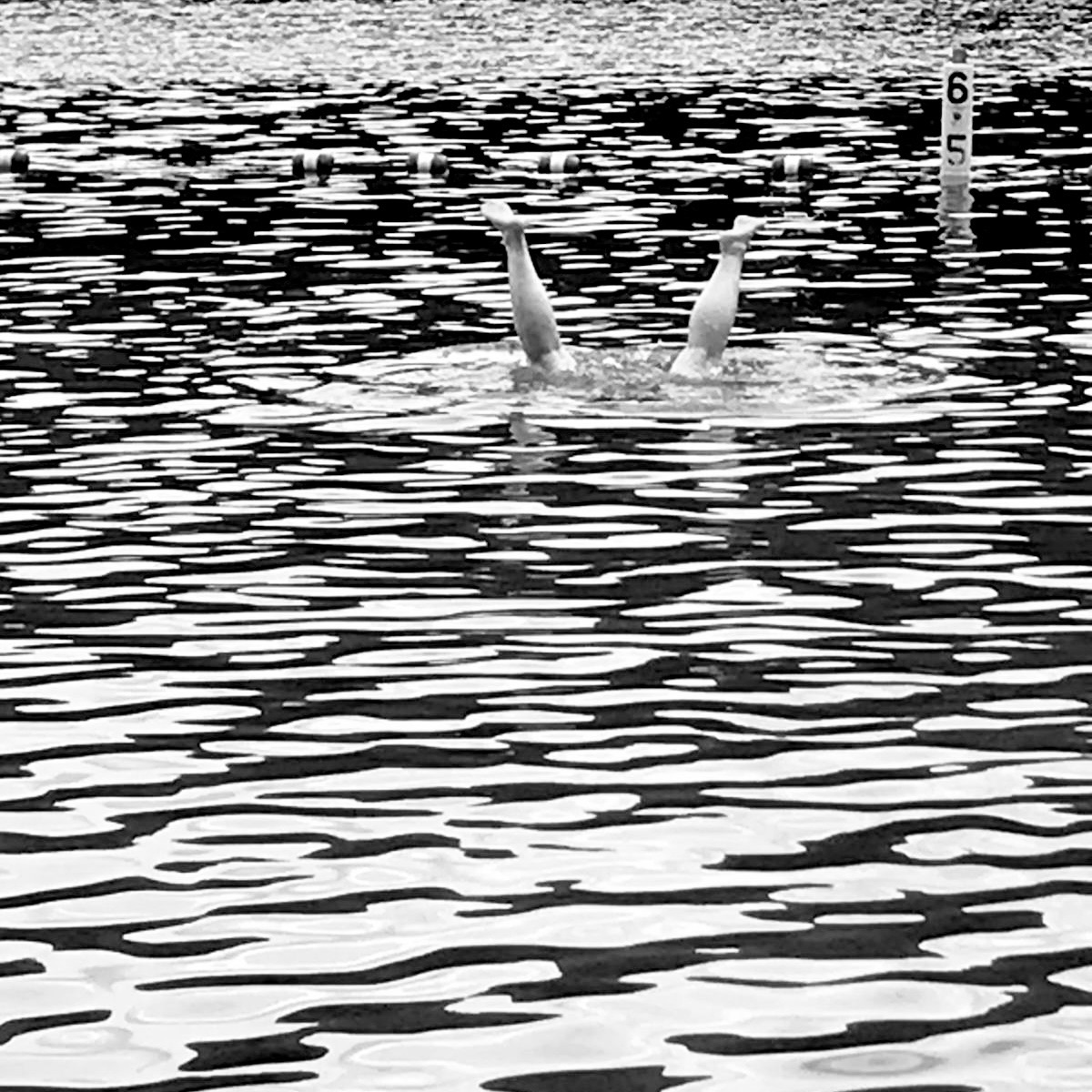 You are currently viewing swim