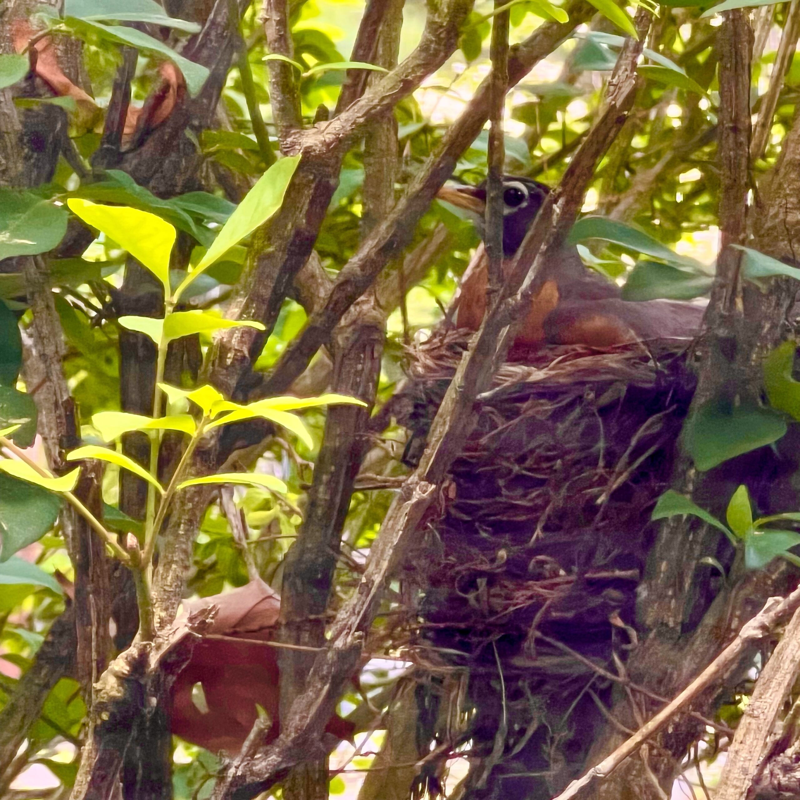 Read more about the article layover