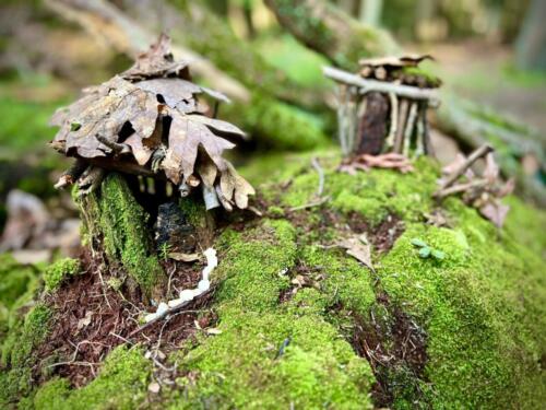 Fairy Houses